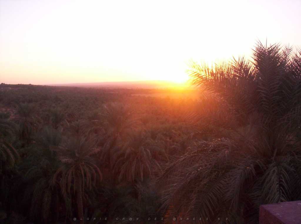 TIMIMOUN DECEMBRE 2004 N039.JPG